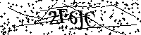 Inserire le lettere e i numeri qui sotto