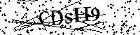 Bitte die Buchstaben und Zahlen unten eingeben