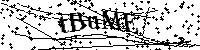 Inserire le lettere e i numeri qui sotto