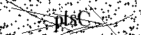 Bitte die Buchstaben und Zahlen unten eingeben