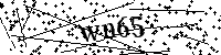 Inserire le lettere e i numeri qui sotto