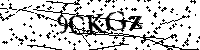 Inserire le lettere e i numeri qui sotto