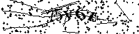 Inserire le lettere e i numeri qui sotto