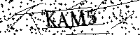 Inserire le lettere e i numeri qui sotto