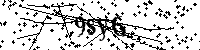 Bitte die Buchstaben und Zahlen unten eingeben