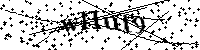 Inserire le lettere e i numeri qui sotto