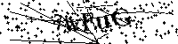 Inserire le lettere e i numeri qui sotto