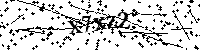 Inserire le lettere e i numeri qui sotto