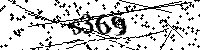 Inserire le lettere e i numeri qui sotto