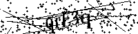 Inserire le lettere e i numeri qui sotto