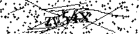 Inserire le lettere e i numeri qui sotto