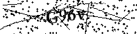 Bitte die Buchstaben und Zahlen unten eingeben