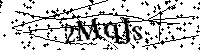 Inserire le lettere e i numeri qui sotto