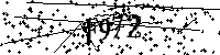 Inserire le lettere e i numeri qui sotto