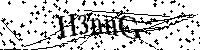 Inserire le lettere e i numeri qui sotto