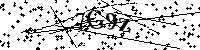 Inserire le lettere e i numeri qui sotto