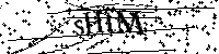 Inserire le lettere e i numeri qui sotto