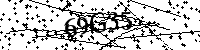 Inserire le lettere e i numeri qui sotto