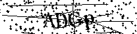 Inserire le lettere e i numeri qui sotto
