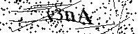 Inserire le lettere e i numeri qui sotto