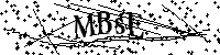 Bitte die Buchstaben und Zahlen unten eingeben