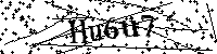 Bitte die Buchstaben und Zahlen unten eingeben