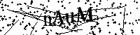 Bitte die Buchstaben und Zahlen unten eingeben