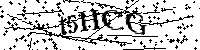 Inserire le lettere e i numeri qui sotto