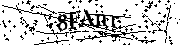 Inserire le lettere e i numeri qui sotto