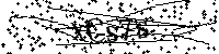 Inserire le lettere e i numeri qui sotto