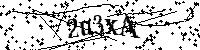 Inserire le lettere e i numeri qui sotto