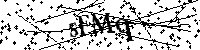 Inserire le lettere e i numeri qui sotto