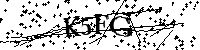 Bitte die Buchstaben und Zahlen unten eingeben