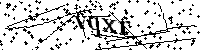 Inserire le lettere e i numeri qui sotto