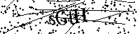 Inserire le lettere e i numeri qui sotto