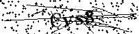 Inserire le lettere e i numeri qui sotto
