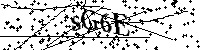 Bitte die Buchstaben und Zahlen unten eingeben