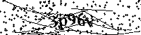 Inserire le lettere e i numeri qui sotto