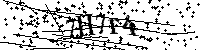 Inserire le lettere e i numeri qui sotto