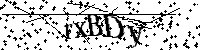 Inserire le lettere e i numeri qui sotto