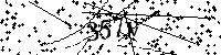 Inserire le lettere e i numeri qui sotto