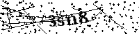 Bitte die Buchstaben und Zahlen unten eingeben