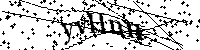 Bitte die Buchstaben und Zahlen unten eingeben