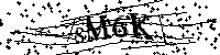 Inserire le lettere e i numeri qui sotto