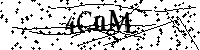 Inserire le lettere e i numeri qui sotto
