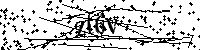 Bitte die Buchstaben und Zahlen unten eingeben
