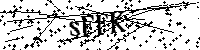 Bitte die Buchstaben und Zahlen unten eingeben