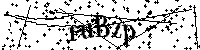 Bitte die Buchstaben und Zahlen unten eingeben