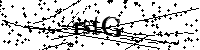 Bitte die Buchstaben und Zahlen unten eingeben