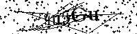 Inserire le lettere e i numeri qui sotto